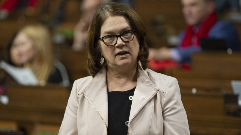 Jane Philpott rises in the House of Commons to pay tribute to the late auditor general Michael Ferguson, Monday, February 4, 2019 in Ottawa. THE CANADIAN PRESS/Adrian Wyld