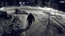 Two people seen approaching a home on video surveillance.