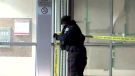 Toronto police tape off the entrance to a building in Pelham Park where the body of a female was found on March 13, 2019.