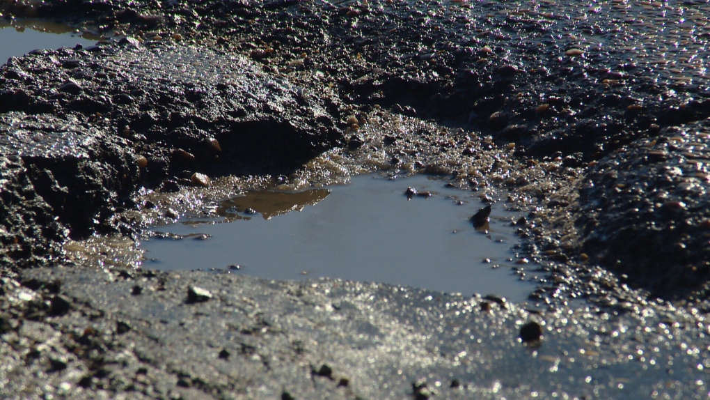 Edmonton potholes