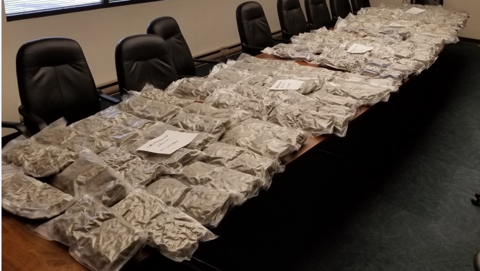 North Bay police seize $300,000 worth of pot
