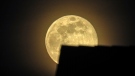 A super moon is seen in this photo taken by Sharmila Bacchus and submitted through Weather Watch by CTV.