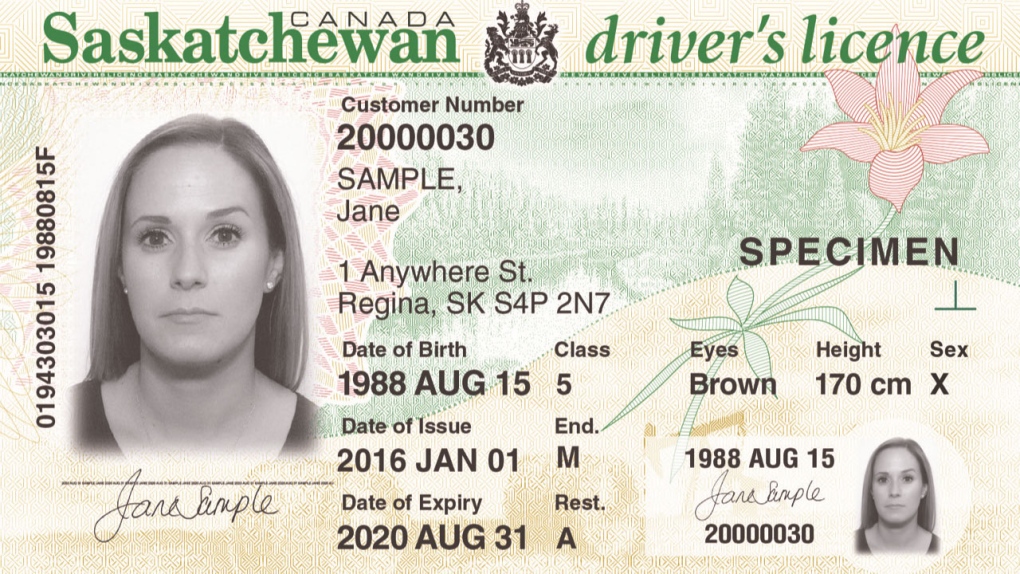 Saskatchewan driver's licence