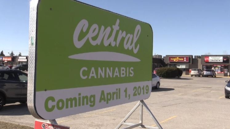 A billboard for Central Cannabis, a pot shop opening in London, Ont. is seen on Monday, March 25, 2019. (Sean Irvine / CTV London)