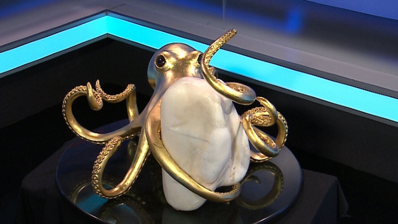 The pearl weighs 27-kilograms and is believed to be worth between $60 million and $90 million. 