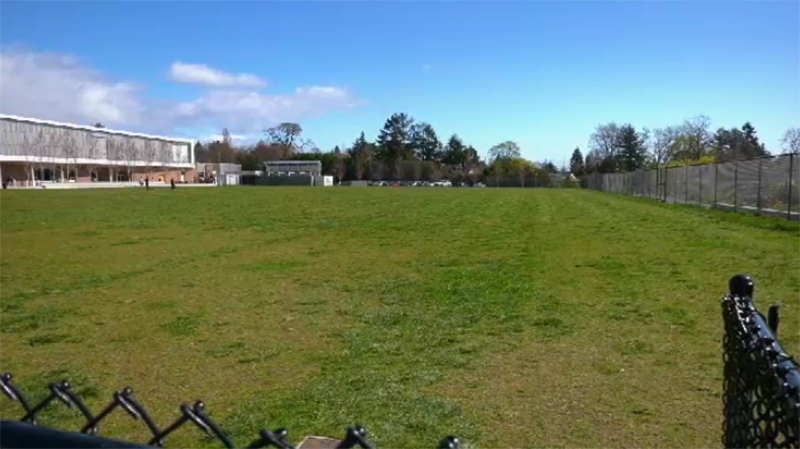 sports field Oak Bay