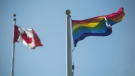 A rainbow flag flies at Queen's Park at the annual Pride flag raising ceremony at the official launch of Pride Month in Toronto on Wednesday, June 1, 2016.  THE CANADIAN PRESS/Eduardo Lima