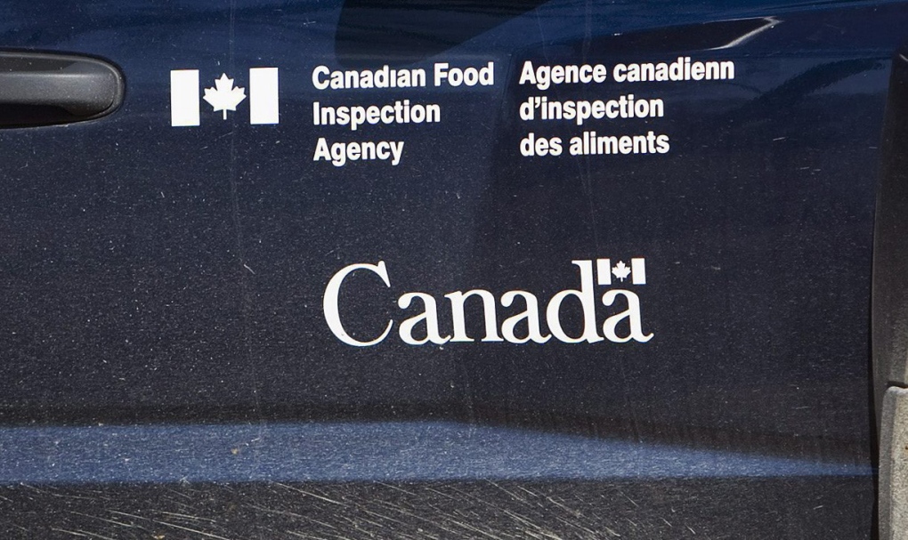 CFIA logo