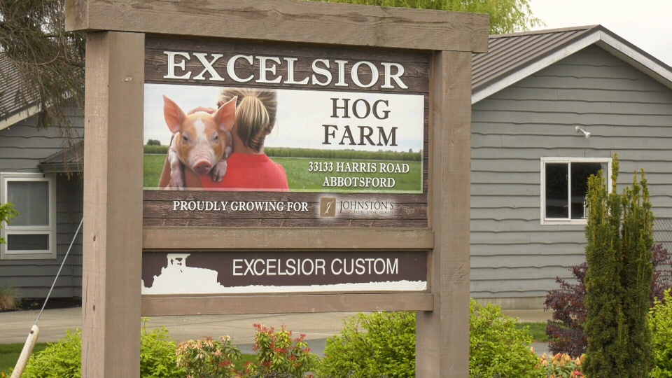 Excelsior Hog Farm