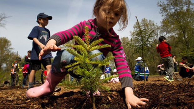 Four-year-old Norah Basha plants a tree at Everett Crowley Park as part of Earth Day celebrations in Vancouver, B.C., on Saturday, April 21, 2012.  (THE CANADIAN PRESS/Darryl Dyck)