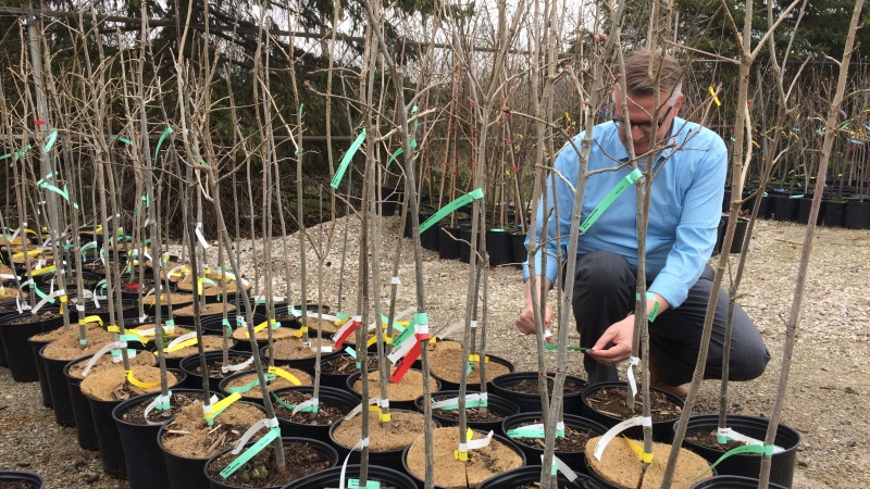 ERCA General Manager Richard Wyma in Windsor, Ont., on Thursday, April 25, 2019