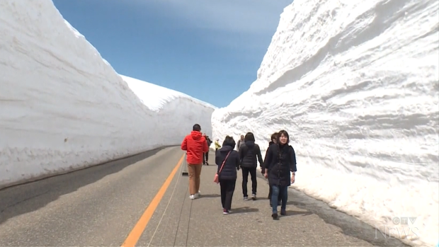 Towering 16-metre snow walls draw tourists from around the world to ...