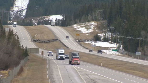 Province to fund long-awaited wildlife overpass near Canmore - CTV News