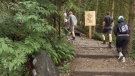 Hikers head up the Grouse Grind on Friday, May 3, 2019. 