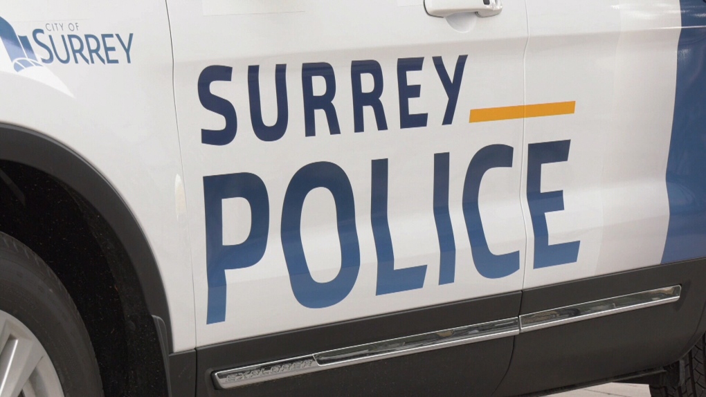 First glimpse of Surrey police force