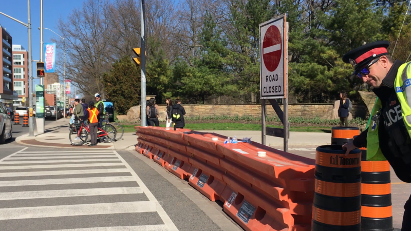 The city of Toronto has made High Park car-free during the course of the cherry blossom bloom. (CTVNews.ca)