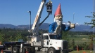 Howard the gnome was dismantled in preparation for his big move to Galey Farms in Saanich Thurs., May 9, 2019. (CTV Vancouver Island)