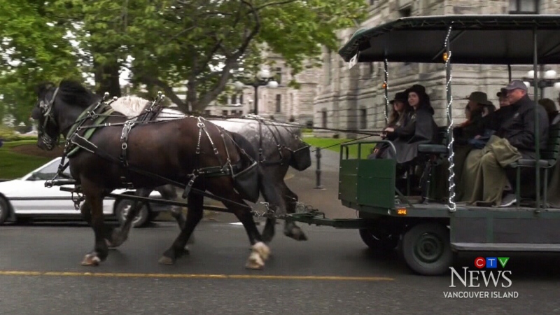 Victoria horse-drawn carriages
