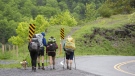 A group of hikers on the Appalachian trail in Bastian, Virginia, on May 13, 2019. (Stephanie Klein-Davis / The Roanoke Times via AP)