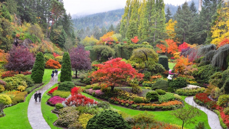 Harbour Air will offer direct flights from downtown Vancouver to Butchart Gardens, landing its seaplanes in a remote cove behind the historic horticultural attraction. (Butchart Gardens)