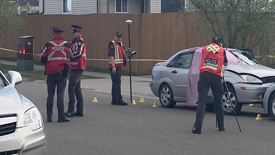 Taradale Calgary shooting homicide 