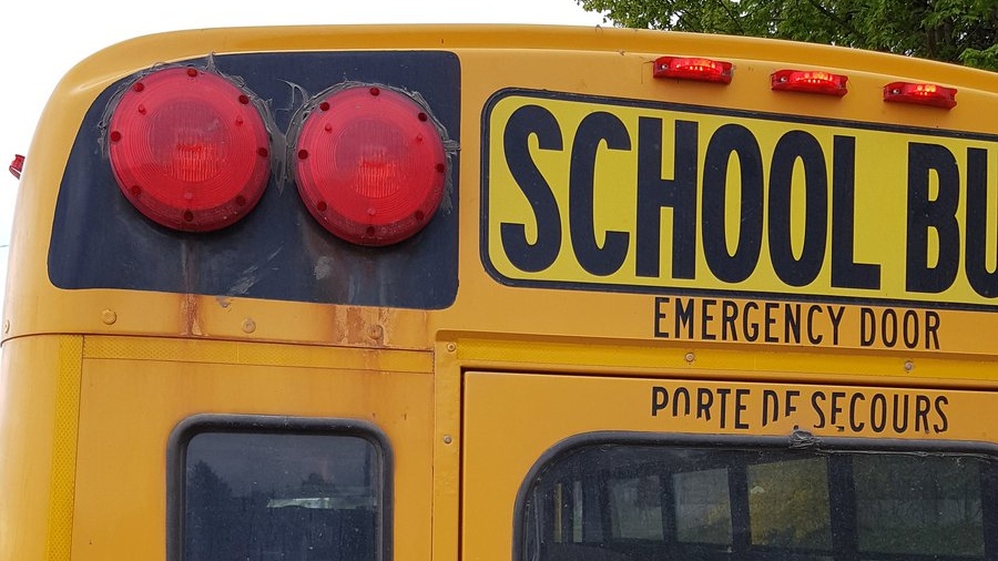 The back of a school bus