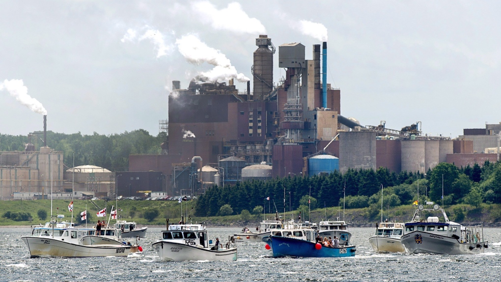 Image result for northern pulp protest