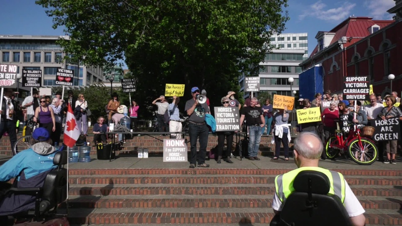 Hundreds of people turned up to support Victoria's horse-drawn carriage industry before a council meeting debating the issue Thurs., May 24, 2019. (CTV Vancouver Island)