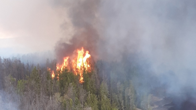 Pauingassi forest fire