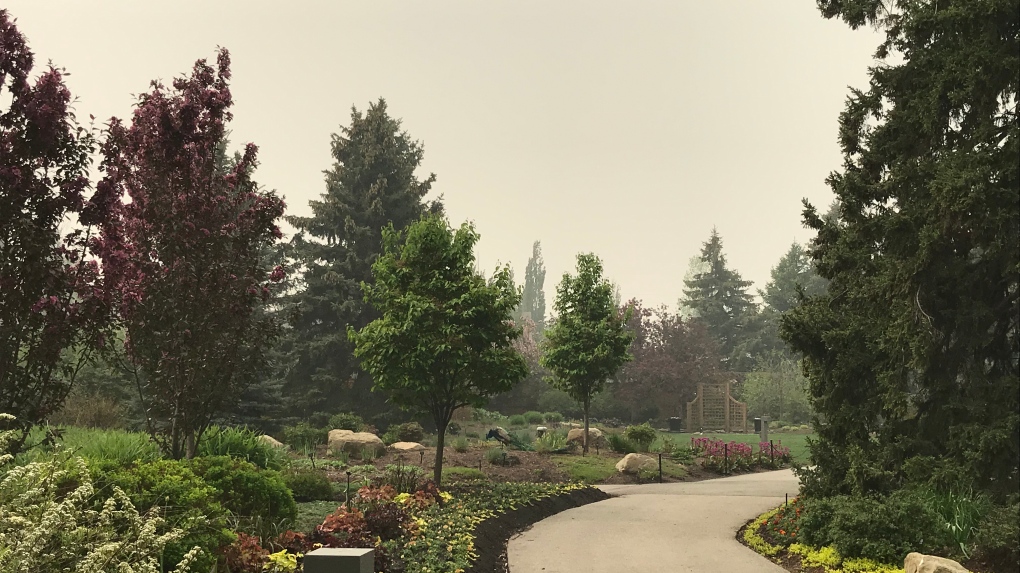 calgary zoo wildfire smoke