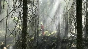 Gogama fire gets help from Mother Nature