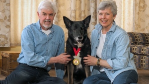 Louise Robillard and Andy Chyc of Sault Ste. Marie, Ont. with their hall of fame dog Shelby who was badly injured after standing between Robillard and a charging black bear. (Photo courtesy Purina)