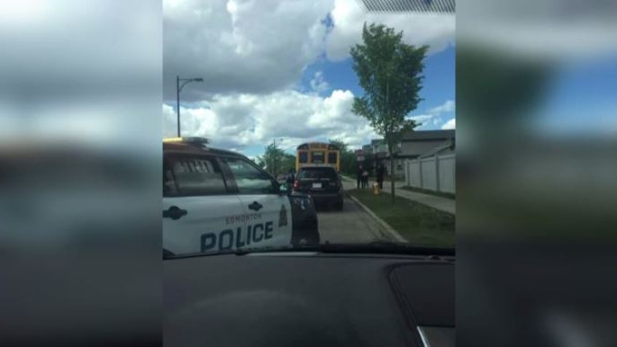 School bus pulled over by police