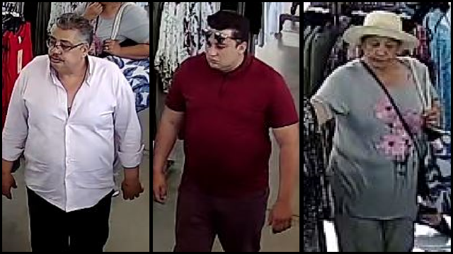 Theft suspects