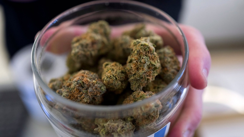 Cannabis is shown in this file image. (AP Photo / Richard Vogel)