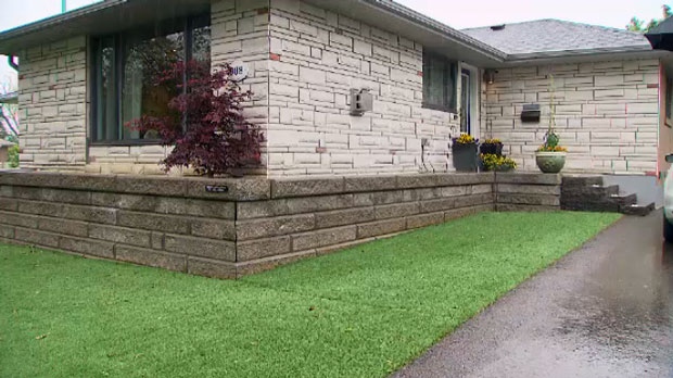 A Scarborough homeowner is fighting to keep her artificial lawn after bylaw officers told her she had to remove it. 