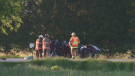 Police are at the scene of a triple fatal crash north of Listowel. (Courtesy: OPP)