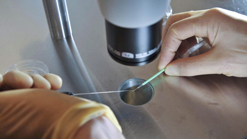 Will B.C. learn lessons from other provinces before funding IVF?