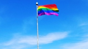 A Pride flag flew outside Stoughton Central School before it was apparently burned between Tuesday evening and Wednesday morning. Source: Stoughton Central School 