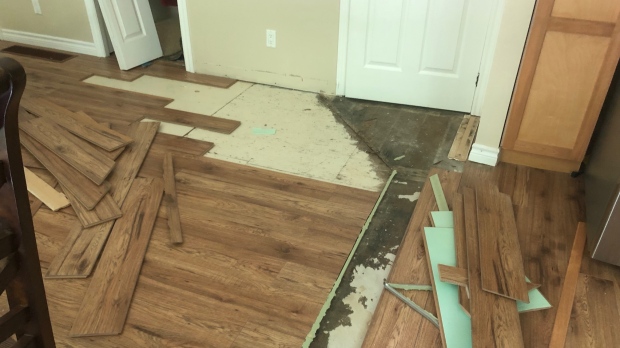 Mould floors