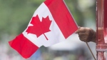 A man waves a flag during a Canada Day parade in Montreal, on July 1, 2018. THE CANADIAN PRESS/Graham Hughes