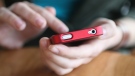 A person is seen using a cell phone in this undated file image. (D. Hammonds / shutterstock.com)