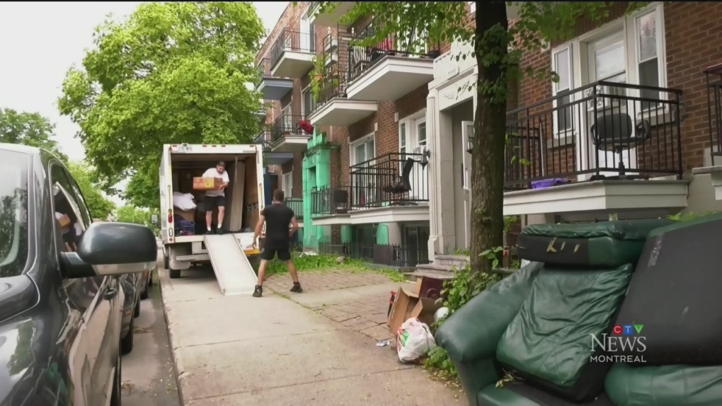 CTV Montreal: Moving Day and pets