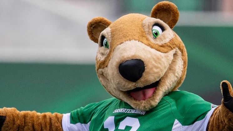 Image result for gainer the gopher