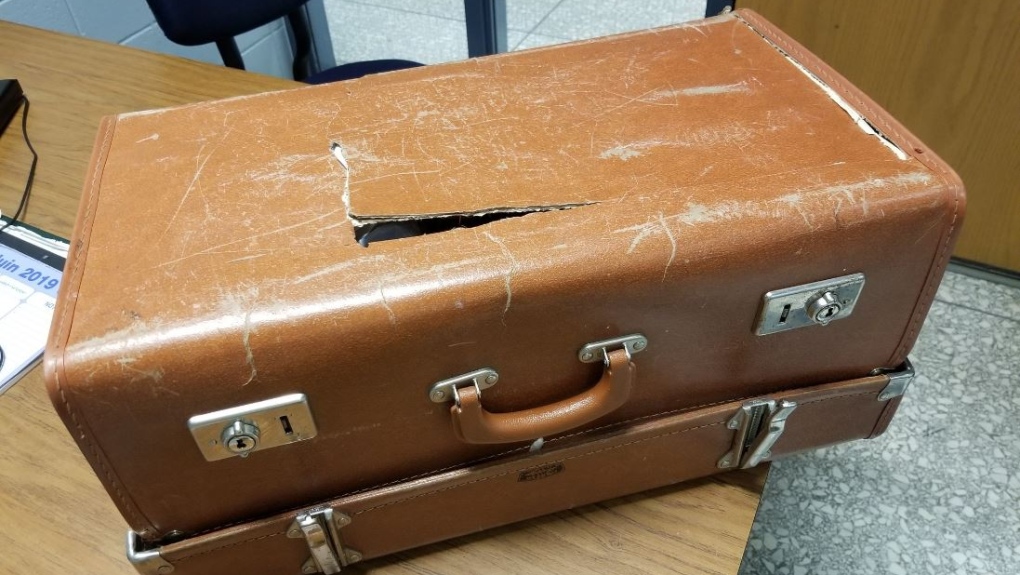 police lost luggage