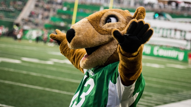 Gainer Gopher greets the crowd during first half CFL action between the Saskatchewan Roughriders and the Calgary Stampeders, in Regina on Saturday, July 6, 2019. THE CANADIAN PRESS/Matt Smith