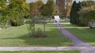 Bruce Avenue Park in Windsor. (Courtesy Google Maps)