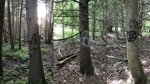 Tagged trees