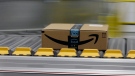 In this Feb. 9, 2018, file photo a box for an Amazon prime customer moves through the new Amazon Fulfillment Center in Sacramento, Calif. (AP Photo/Rich Pedroncelli, File)