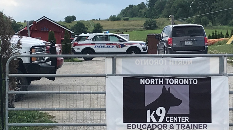 Emergency crews attend the scene of a fire at a dog training facility in King Township on July 17, 2019. (Phil Fraboni/CTV News Toronto)